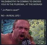 1749205194442439