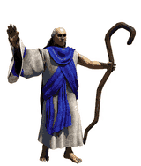 wololo-age-of-empires (1)