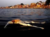 images - 2025-02-24T014008.552
