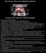 1771197162-What-the-Talmud-Says-3326307502