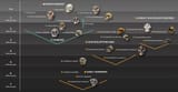 human-evolution-family-tree-with-skulls-graphic-hero.jpg.thumb.1160.1160