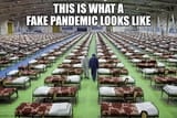 FakePandemic