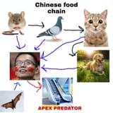 apex predator