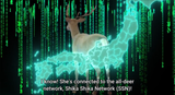 shika shika network