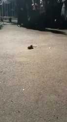 video_10-31_20-26-27_thumb.jpg