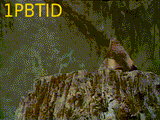 1PBTID-S8