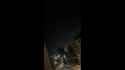 Palestine-2 missile launched by Houthis at Tel Aviv December 2024_thumb.jpg