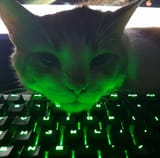Keyboard Kot