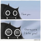 Kot love