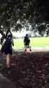 Black on White Crime - Blonde Aryan girl visciously beaten by racist Shitskin Sheboon invaders in her native England (no audio)_thumb.jpg