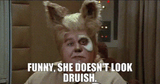 spaceballs-druish
