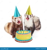 ferret-birthday-party-cake-two-funny-ferrets-hats-mouths-open-tongues-out-to-appear-singing-68409731