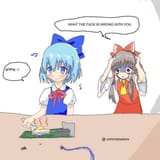 cirno_cook