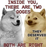 two doges