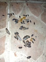 IMG_20250615_230442