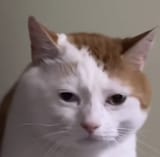 1709027740124800