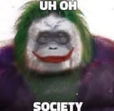 8c7k6vzuplw31