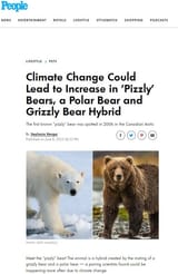 PissleyBear