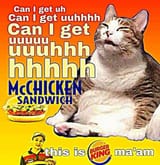 ujweyhiy8pvrq