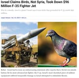 bird vs f35