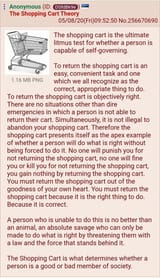 shopping cart theory