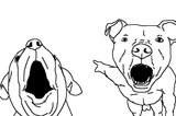 pitbull_pointing_wojaks