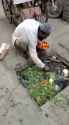 Washing your vegetables (hjo6g6vfwuma1)_thumb.jpg