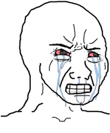 334px-Crying_wojak-4163230681