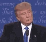 wrong-donaldtrump