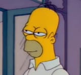 homer2