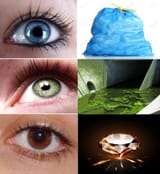 eyes
