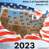 muttmerica-birth-statistics