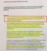 Screenshot 2025-06-16 at 13-00-24 Trump-Intelligence-Allegations.pdf