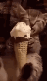 ice-cream-kitty