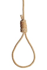 noose