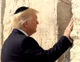 wall_fondler