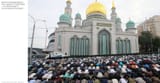 mosqueow 5