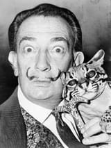 dali