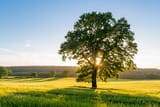 istockphoto-476116580-612x612