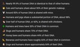 dna similarity