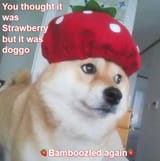 13876445_1010872895692708_4459592982245567168_n