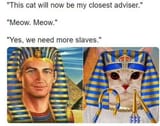 1709214790123638