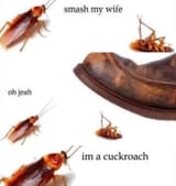 Cuckroach