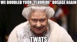 twats
