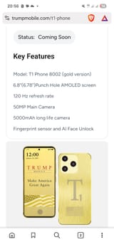 Screenshot_20250616_205618_Brave