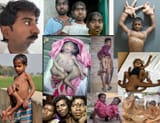 paki pajeet genetics
