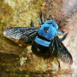 38074_small