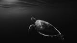 anna-wangler-_GqwoiT7QY8-unsplash