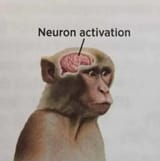 84804d3b82af71709ef6f1ec0709ba99