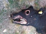 IMG_20230704_060300